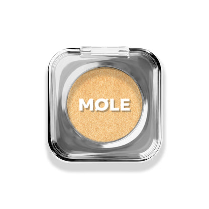 Pure Pigment Eyeshadow  - Cream to Powder Göz Farı